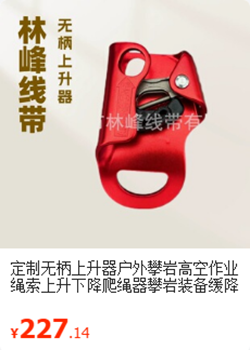 无柄上升器