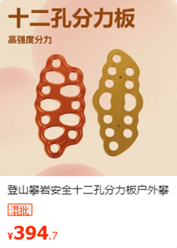 十二孔分力板