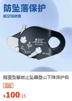 止坠器