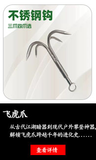 飞虎爪